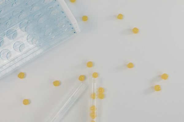 Men's Counseling in Fitzrovia – Confidential & Tailored Support